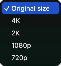 The Size menu open, offering Original size, 4K, 2K, 1080p and 720p